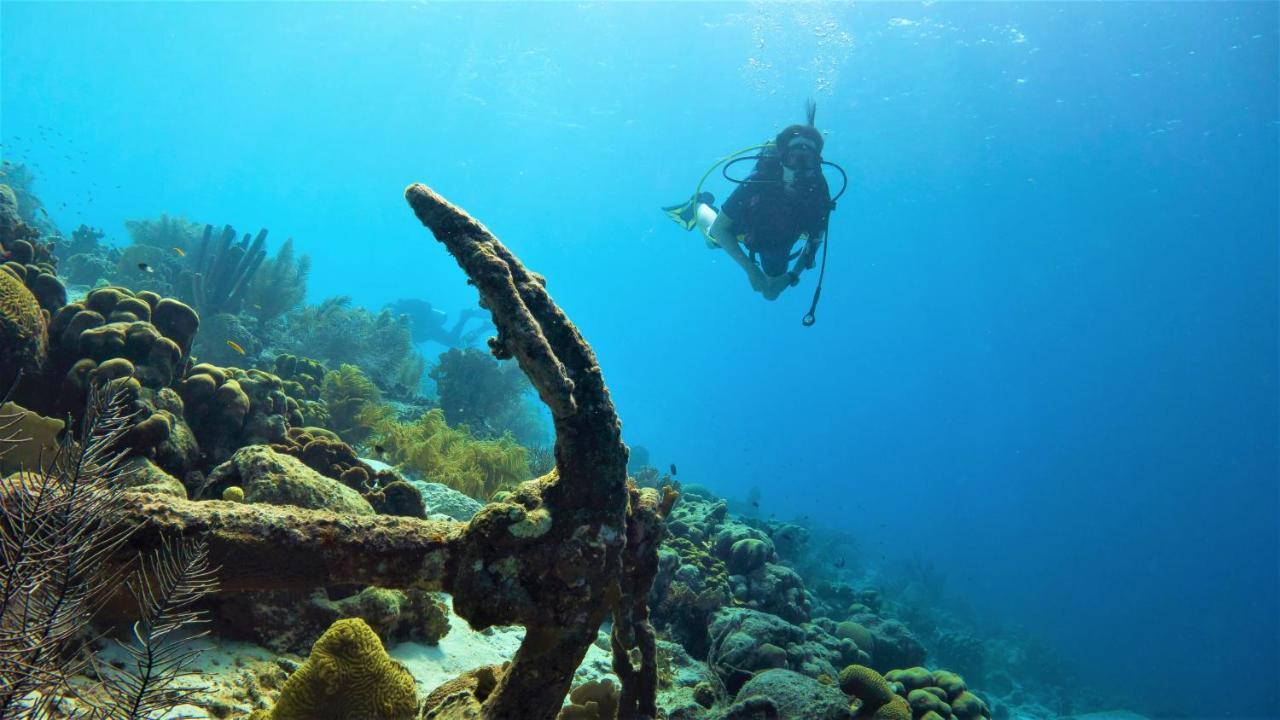Апартаменты Woodz Bonaire Кралендейк Экстерьер фото